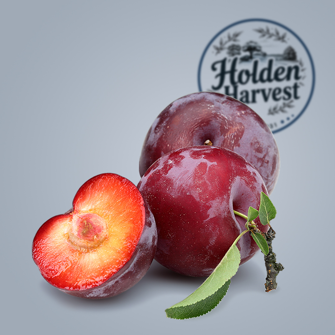 redplum